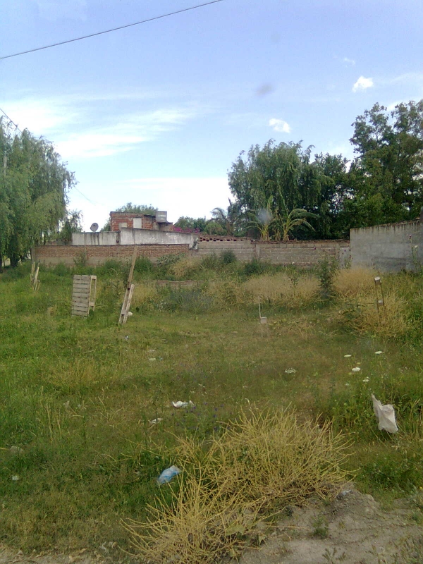 TERRENO