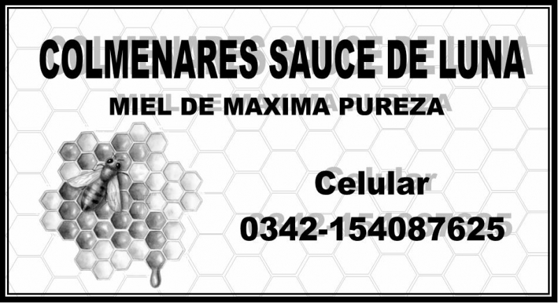 MIEL PURA 100%