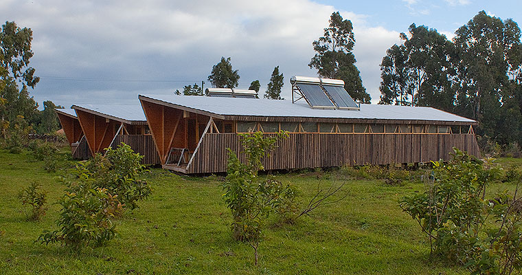 CABAÑAS ECOSISTEMA NATURAL