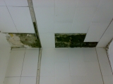 OBRA TIPO PLUSS